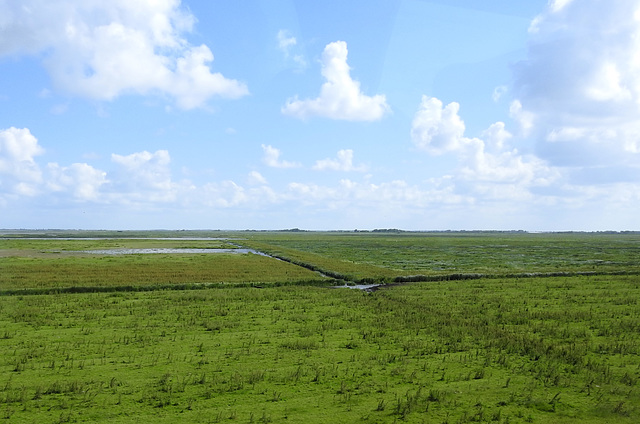 Rodenäs, Schleswig-Holstein