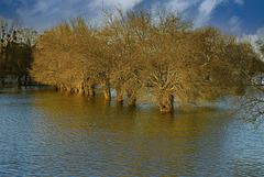 Les pieds dans l'eau.