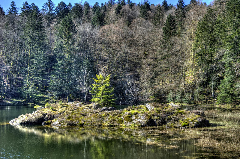 LEPUIX: Etang des roseaux 02.