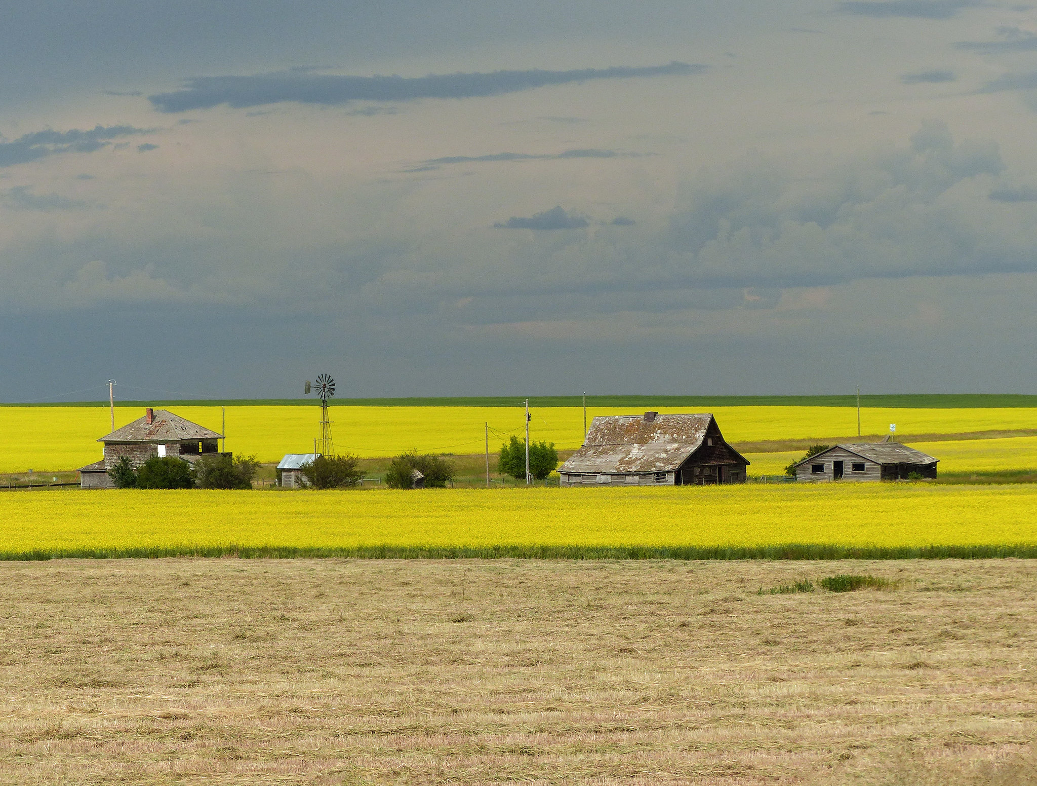 Treasures in the yellow strip