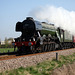 LNER class A3 4-6-2 60103 FLYING SCOTSMAN  with 1Z65 09.15 Scarborough -  York Holgate Loop The Great Britain XI at Spital Bridge ,Seamer 20th April 2018