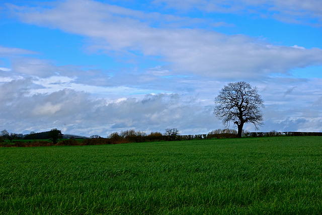 Sun between the showers