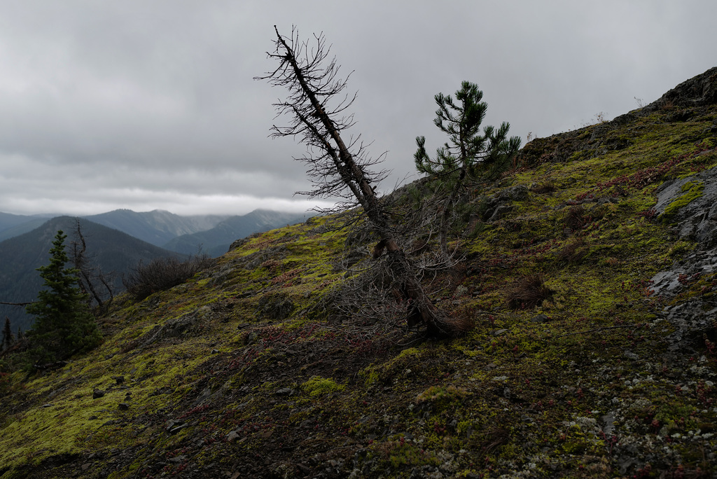 E. C. Manning Provincial Park