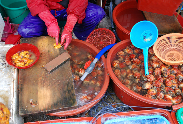 Fischmarkt in Tongyeong