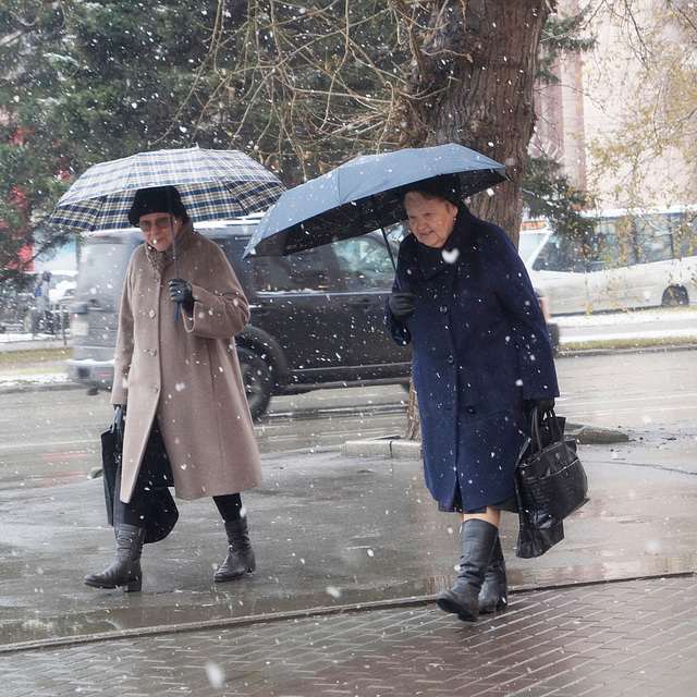 First Snow First Snow