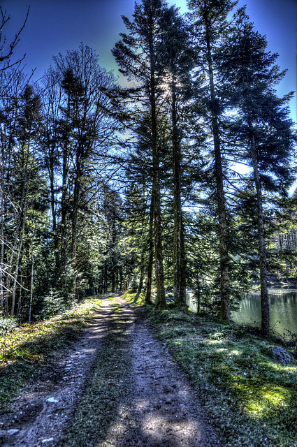 LEPUIX: Etang des roseaux 03.