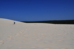 Cycling from Bordeaux Vineyards to the Atlantic Coast / Dune du Pilat