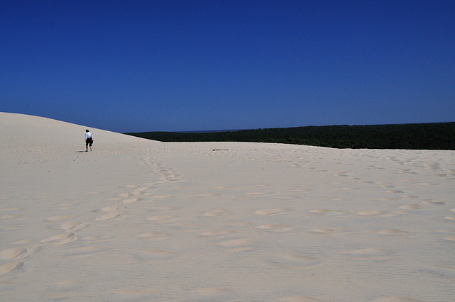 Cycling from Bordeaux Vineyards to the Atlantic Coast / Dune du Pilat Cycling from Bordeaux Vineyards to the Atlantic Coast / Dune du Pilat