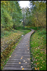 allée promenade