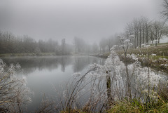 Givre et brouillard en Anjou.