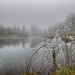 Givre et brouillard en Anjou.