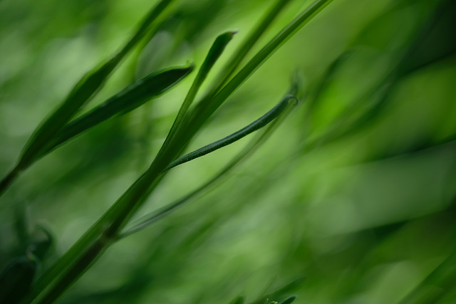 DSCF8711 DSCF8711
