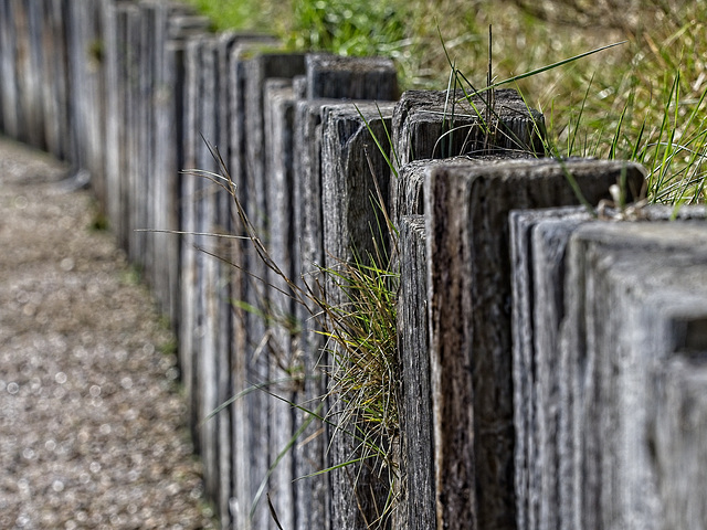 Sea Defences