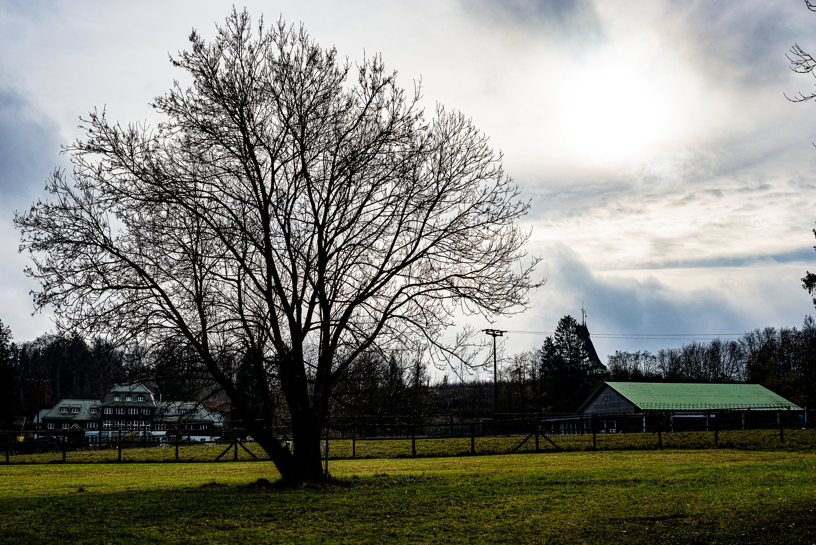 20231118_benneckenstein spaziergang