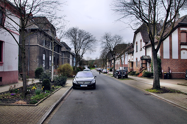 Thiesstraße (Essen-Altenessen) / 2.03.2024