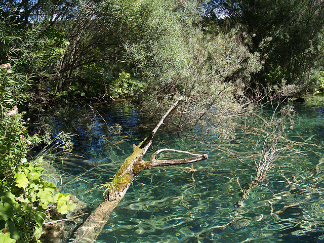 Plitvička Jezera, Complete Transparency of the Water