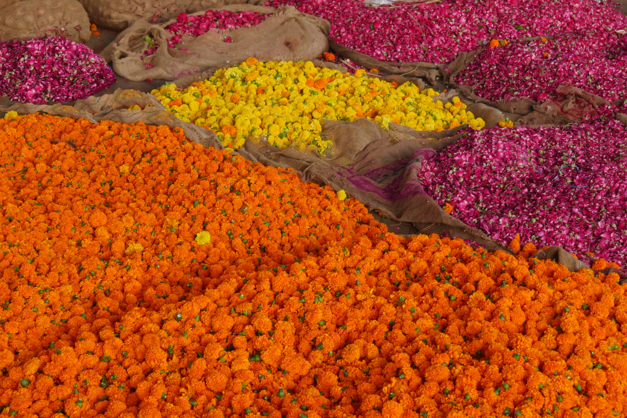 Sur les marchés