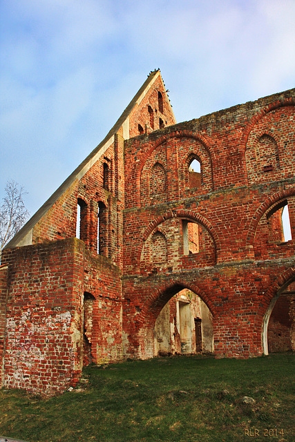 Bad Doberan, Klosterruine