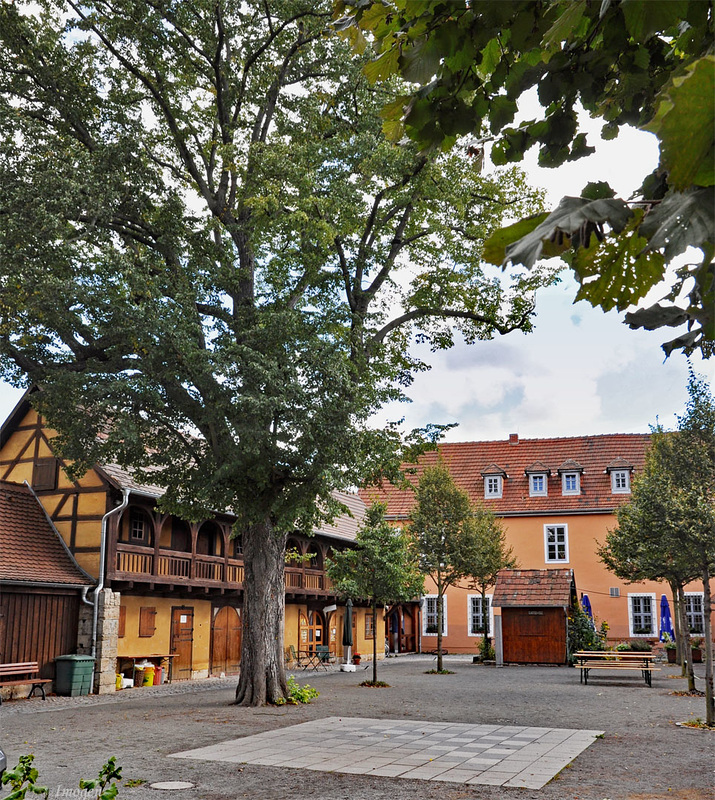 Weimar Bee Museum.