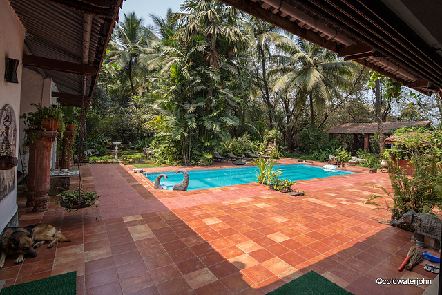 The Alibag home