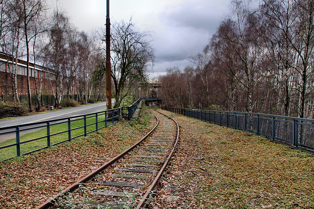 Stillgelegtes Werksbahngleis (Westpark, Bochum) / 14.01.2019