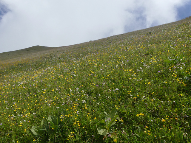 20240808 Rando le Trelot (Savoie) (1)