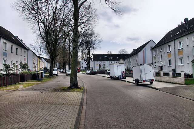 Gewerkenstraße (Essen-Altenessen) / 2.03.2024