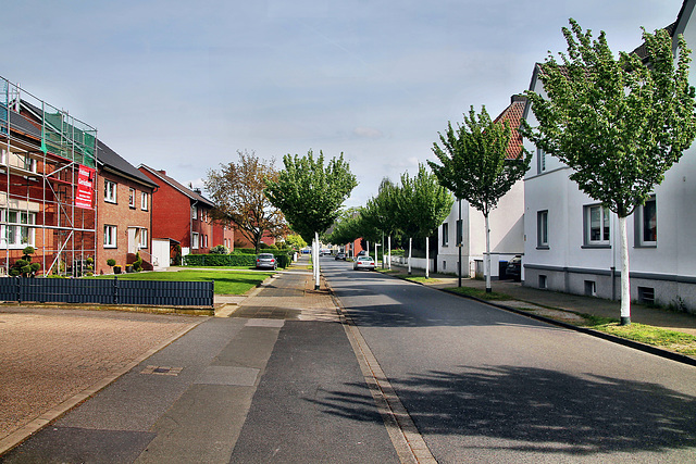 Löwen-Köster-Straße (Lünen-Altlünen) / 13.04.2024