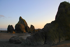 Sea Stacks