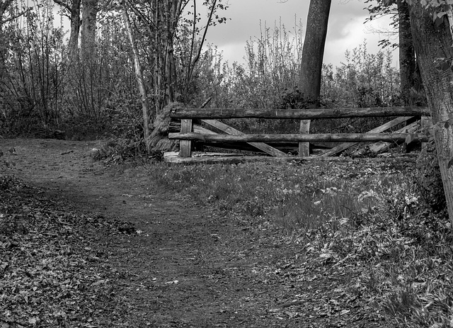 Equestrian Fence for B&W Friday