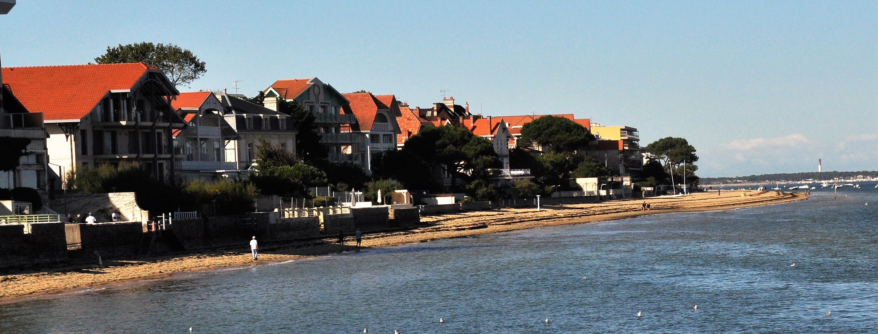 Cycling from Bordeaux Vineyards to the Atlantic Coast/Arcachon