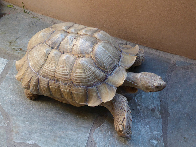 Aquaworld, Hersonissos (2) - 30 September 2019