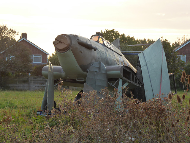 Somewhere In A Field In Hampshire (3) - 20 September 2021