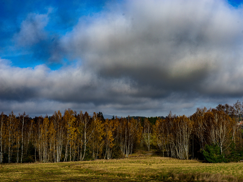 20231118_benneckenstein spaziergang