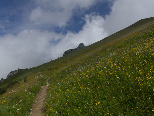 20240808 Rando le Trelot (Savoie) (2)