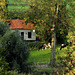 Cow Garden