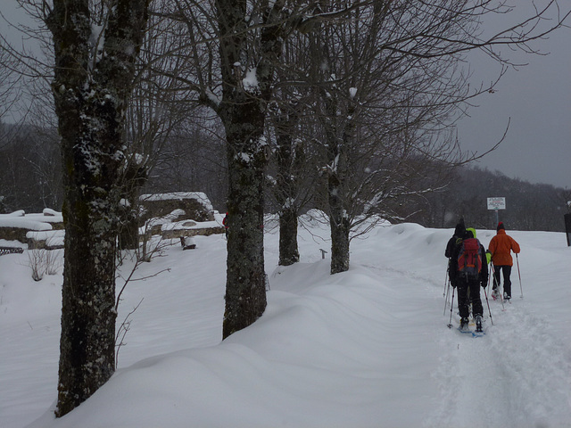 20150131 Raquettes Vercors La Goulandiere (64) al