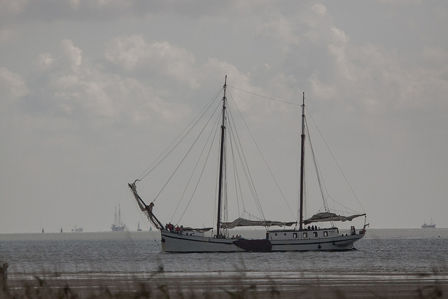 20140908 3459RTw [NL] Segler, Terschelling