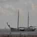 20140908 3459RTw [NL] Segler, Terschelling