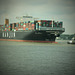Containerschiff  HANJIN GREENEARTH