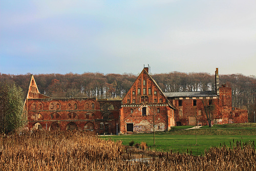 Bad Doberan, Klosterruine