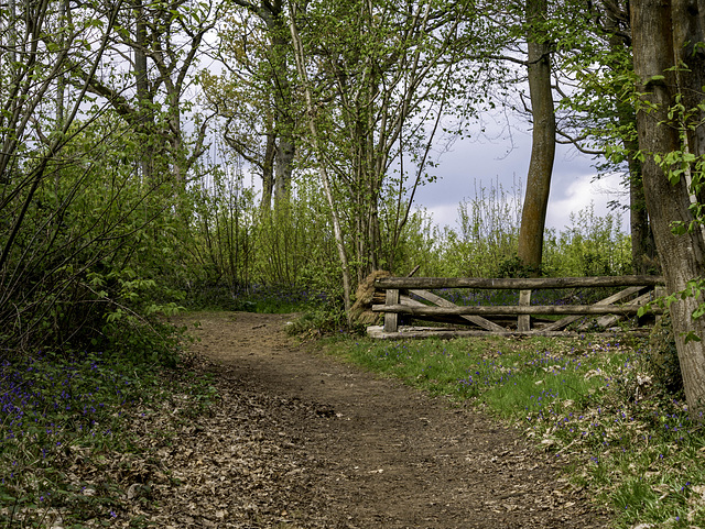 An equestrian fence for H.F.F.