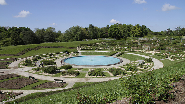 La roseraie du Parc  de la Colline aux Oiseaux de Caen