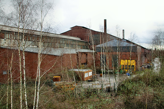 Werkshallen der Bochumer Verein Verlehrstechnik GmbH (Bochum) / 14.01.2019