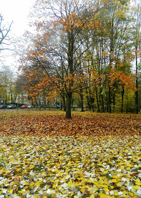 Autumn in Berlin