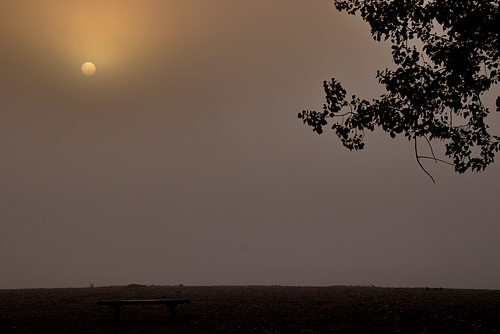 Lonely Bench Monday