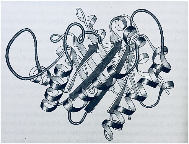 Figure 42