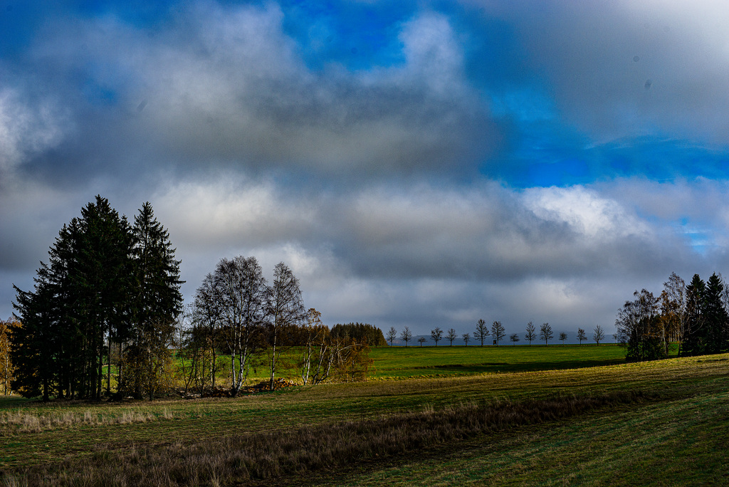 20231118_benneckenstein spaziergang