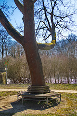 come together bench - HBM