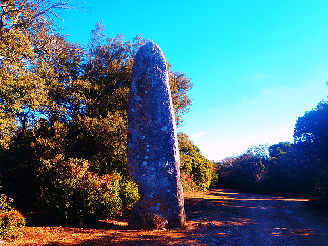 19-Le Méhir.H 5,6m-P 8Tonnes